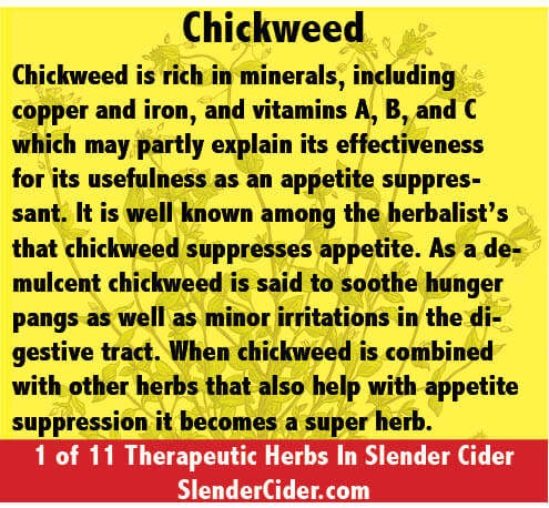 Chickweed benefits