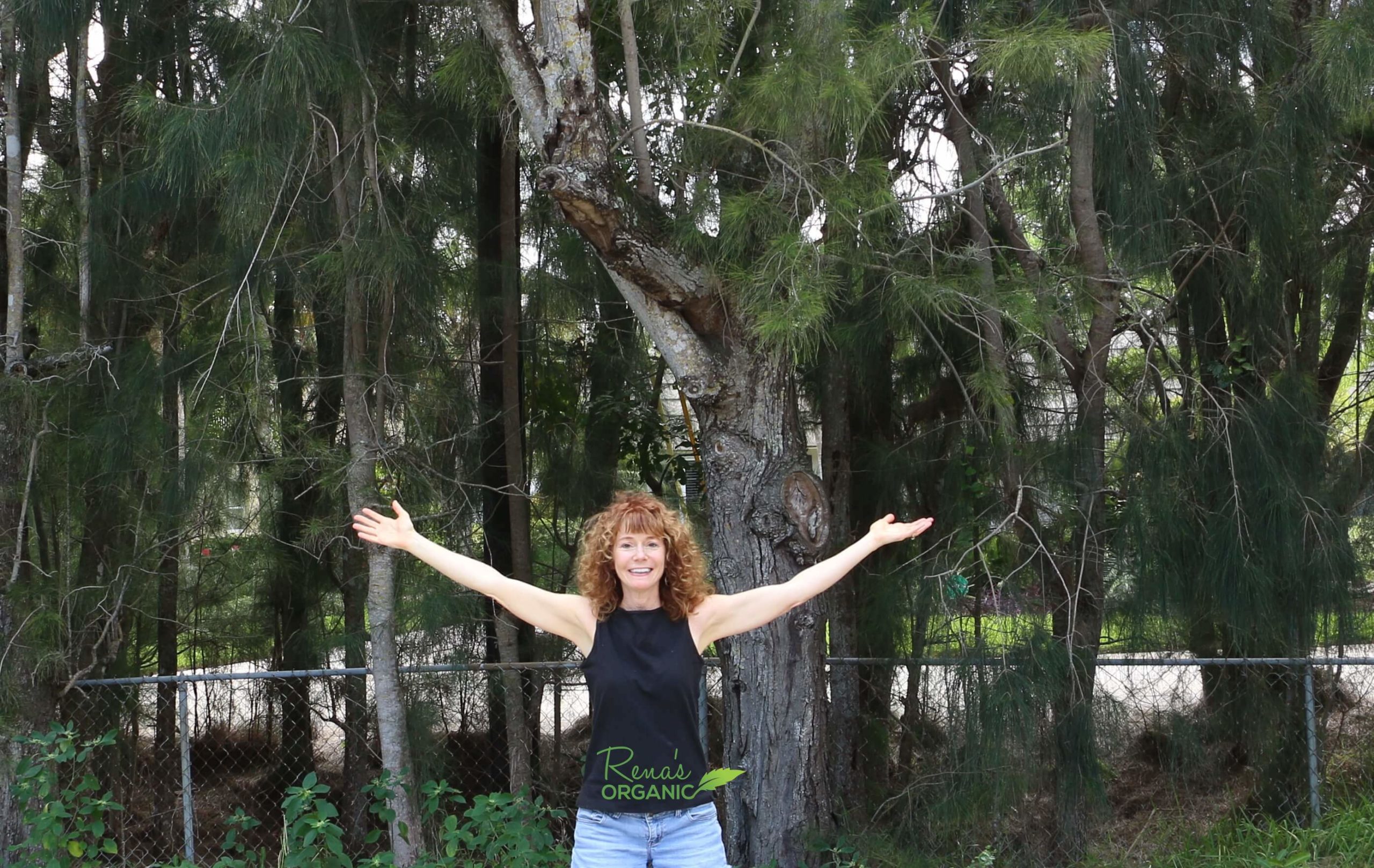 Rena and trees in nature