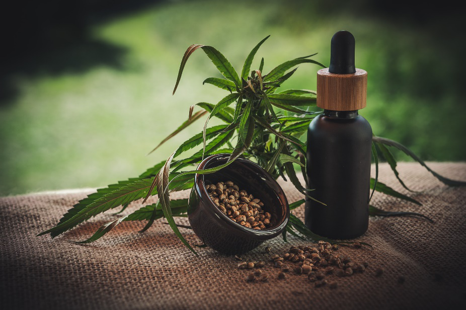 A CBD oil bottle next to hemp seeds and the cannabis plant