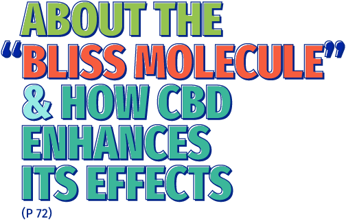 About The Bliss Molecule
